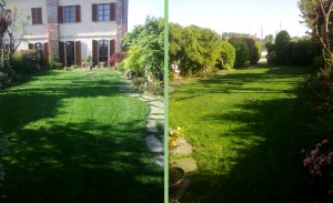 Area Verde manutenzione giardini