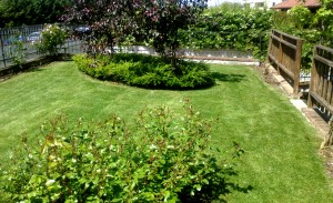 Area Verde manutenzioni giardini e piante